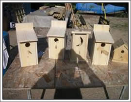 Bird Houses and Feeder Construction Outagamie/Winnebago Wisconsin