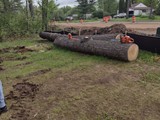 IMG_20210522_095041445_HDR